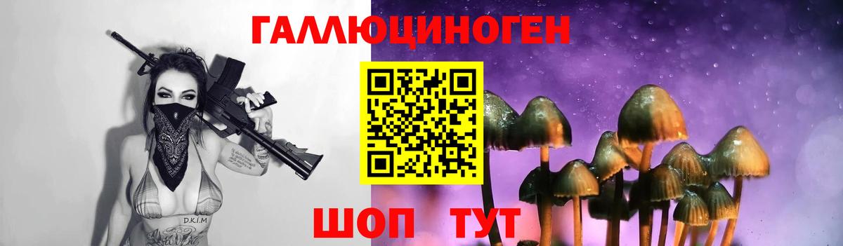 Туапсе  Псилоцибиновые грибы GOLDEN TEACHER  Вход с VPN 